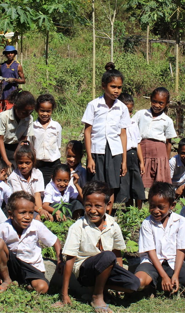 Permatil au Timor-Leste